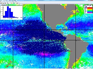 PHAM Circulation Model Screen Print